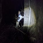 Caleb Speer - @cspeer911 - Instagram