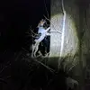 user9019613253438 - @calebspeer09 - TikTok