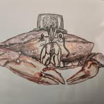 Caleb Sperry - @grand.badger - Instagram