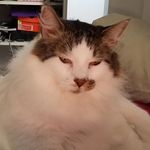 Caleb Spivey - @spiveycaleb - Instagram
