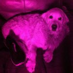 CalebSpriggs - @caleb_d_spriggs - Instagram