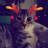 calebspriggs - @calebspriggs - TikTok