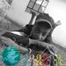 Square Caleb - Facebook