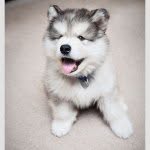 Caleb Staats - @calebstaats34 - Instagram