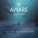 Caleb Stambaugh - @calebstambaughmusic - Instagram