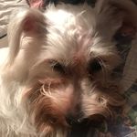 Caleb stamper - @stamper7027 - Instagram