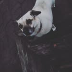 Caleb Stapleton - @calebstapleton123 - Instagram