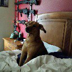 Caleb - @caleb_j_staton_ - Instagram