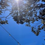 caleb steen - @undeadjuggalo94 - Instagram
