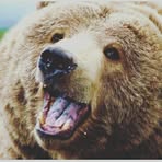 Kaleb Steinmetz - Facebook