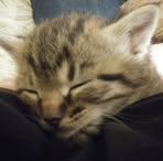 Kaleb Steinmetz - Facebook