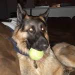 Caleb Stender - @stendercaleb - Instagram