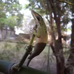 calebstephenson - @calebstephenson123 - Instagram