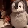 Caleb Stevens - @caleb.stevens560 - TikTok