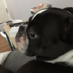 Caleb Stevens - @caleb_stevens - Instagram