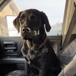 Caleb Stewardson - @calebstewardson - Instagram