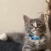 Caleb Stewart - Facebook