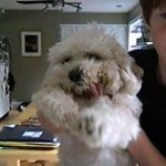 Caleb Stoll - @secertthatunion36 - Instagram