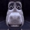 calebstoll8 - @calebstoll8 - TikTok