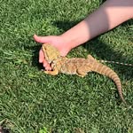 caleb_stoltz - @caleb_stoltz4 - Instagram