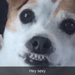 Supp Pa - @calebmuhfuckinbaileystoltz - Instagram