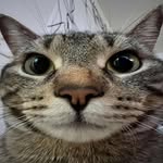 Caleb Stoner - @goofy_goober324 - Instagram