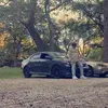 Caleb_Storrs - @sloww.fg2 - TikTok