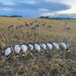 Caleb Stowell - @calebstowell4 - Instagram