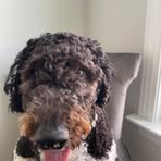 Caleb Stowers - Facebook