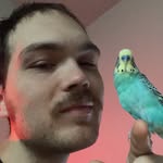 Caleb Strait - @knowsgnomes - Instagram