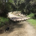 caleb strong - @caleb.strong178 - Instagram