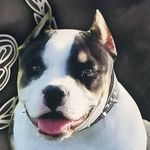 caleb stroud - @calebstroud278 - Instagram