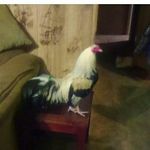 caleb stroud - @calebstroud53 - Instagram