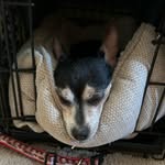 Caleb Stubblefield - @caleb_stubblefield23 - Instagram