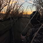Caleb - @calebsutton5 - Instagram