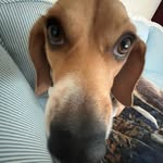 Caleb Sullivan - @cale_bsullivan - Instagram