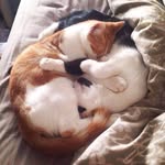 Caleb summers - @calebsummers55 - Instagram