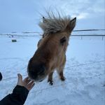 Caleb Swanson - @caleb_swanson13 - Instagram