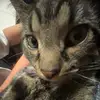 caleb swanson - @caleb.swanson71 - TikTok