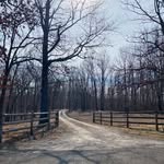 Caleb Sylvester - @sylvester_homestead - Instagram