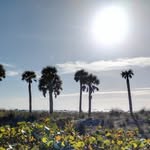 Caleb Tackett - @caleb.tackett.9404 - Instagram