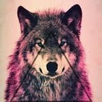 Caleb Tackett - @luna.tackett - Instagram