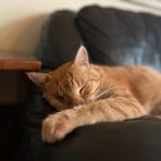Caleb Tang - Facebook