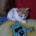 Kaleb Tejeda - Facebook