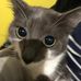 Caleb Tello - Facebook