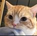 Kaleb Temple - Facebook