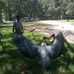 Kaleb Desta - Facebook