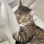 Caleb Tester - @calebtester25 - Instagram