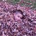 Kalob Thibault - Facebook