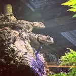 Caleb thiele - @thielecaleb - Instagram